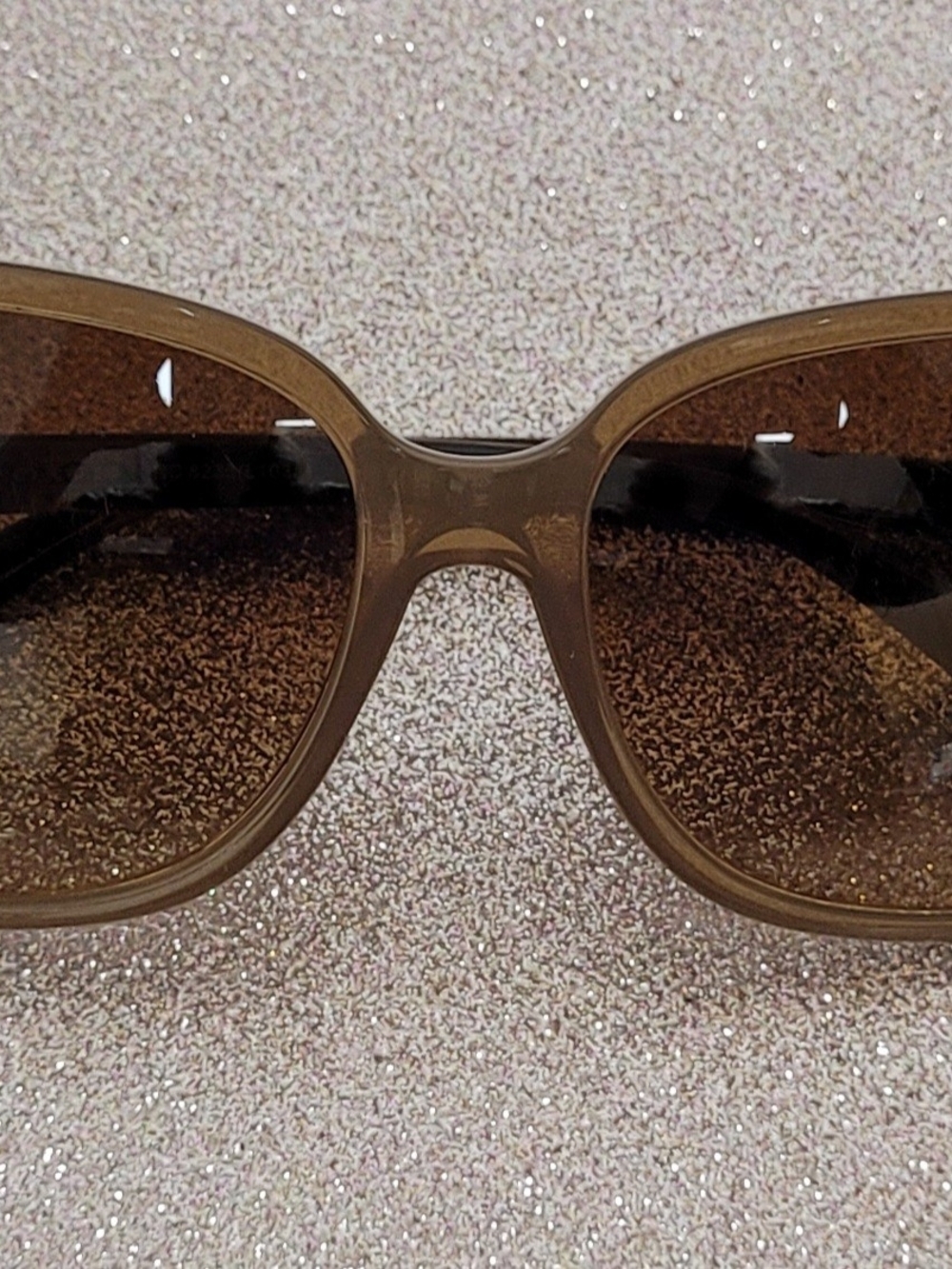 Coach Women's Brown Transparent Frame Sunglasses with Brown Lenses